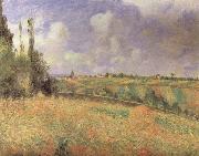 Camille Pissarro Rye Fields at Pontoise Spain oil painting artist